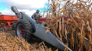 Last Day of Picking Corn Harvest 2024 [upl. by Goldsworthy480]