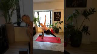 Vinyasa 1 Level 1  Angela Lohse on 12 April Livestream on Facebook [upl. by Allehs]