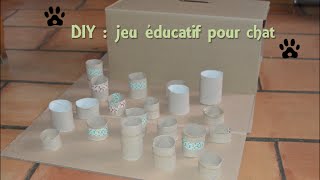 DIY   jeu éducatif pour chat [upl. by Erlewine]