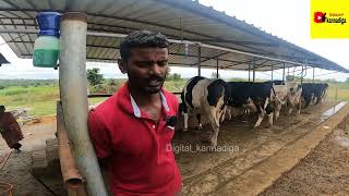 dairy farming ದಿನಕ್ಕೆ 200250 ಲೀಟರ್ ಹಾಲು ಹಾಕ್ತಿನಿ sir  Cow farming in kannada 2023  Hassan [upl. by Sherer]