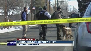 Mesa county Sheriffs Deputy Shot [upl. by Meedan]