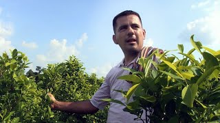 Colombia Cursed by coca in Catatumbo [upl. by Atinid659]