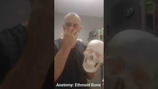 Anatomy Ethmoid Bone [upl. by Ateekahs607]