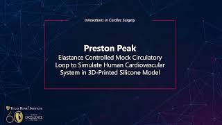 Elastance Controlled Mock Circulatory Loop Human Cardiovascular System in 3DPrinted Silicone Model [upl. by Ahsaele]