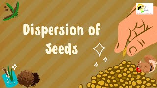 Watch A Large Variety Of Seeds Using Smart Dispersal Techniques [upl. by Martella]