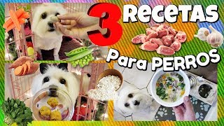 3 Recetas para Perros con Corazon de pollo comida para 3 dias snacks I Lorentix [upl. by Camus735]