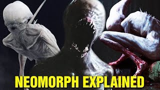 WHAT ARE NEOMORPHS LIFE CYCLE EXPLAINED  ALIEN COVENANT [upl. by Salomi]