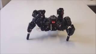 Quadruped robot 4DOF [upl. by Countess]