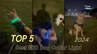 TOP 5 Best LED Dog Collar Light 2024 [upl. by Akemyt]