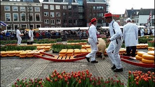 Kaasmarkt in Alkmaar [upl. by Eednac]