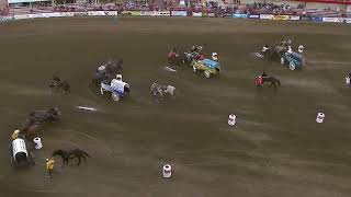 PONOKA STAMPEDE 2024 Day 1 [upl. by Eiruam]