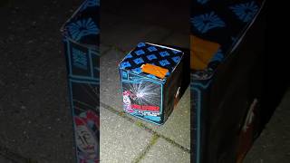 Argento Firlefanz feuerwerk silvester fireworks [upl. by Sorrows]