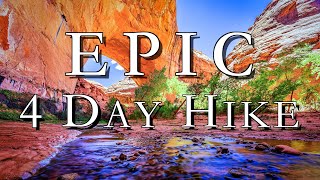 Epic 4 Day Hike in Coyote Gulch [upl. by Nierman258]