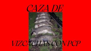 CAZA de VIZCACHAS con PCP R3 800 Y SLUG DE 27 GRS [upl. by Nima366]