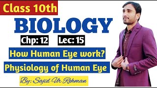 How Human Eye works  Physiology of Human Eye  Mechanism of Vision  10th Bio Chp 12 Lec 15 [upl. by Trebleda]