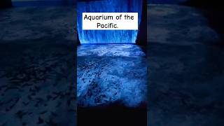 Aquarium of the Pacific Long Beach CA part 2 aquariumofthepacific longbeachaquarium cruiseport [upl. by Rehpotsihrc]