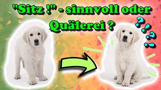 Hund Sitz beibringen – sinnvoll oder Tierquälerei  🤔 Das Kommando „Sitz“ genauer betrachtet… [upl. by Econah]