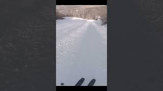 When you ski fast everything becomes a park skiing feature skiing viral shorts parkskiing [upl. by Hanikahs441]