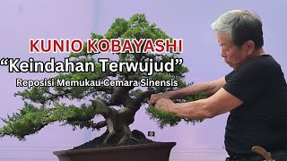 PART 4 quotHarmoni yang Abadiquot Master KUNIO KOBAYASHI  Keindahan Setelah Reposisi Cemara Sinensis [upl. by Spears]