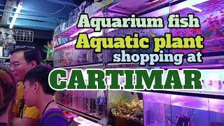 CARTIMAR aquarium fish market [upl. by Alexis]