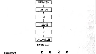 2022 Biology paper 2 internal exam revision questions and answers part 1 [upl. by Itsim724]