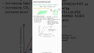 PHOTOSYNTHESIS  Biology Science Revision gcse exams aqa ocr edexcel practical limitingfactor [upl. by Jessee784]