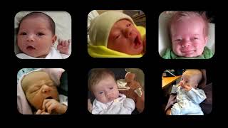 Name that Cue – Understanding What Your Newborn is “Saying” [upl. by Zap]