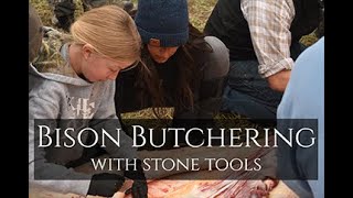 Bison Butchering with Stone Tools [upl. by Halladba]