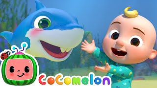 🦈 Baby Shark KARAOKE 🦈 CoComelon Nursery Rhymes  Sing Along With Me  Moonbug Kids Songs [upl. by Hanway]