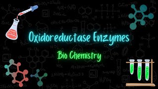 Oxidoreductase enzymes  أنزيمات الأكسدة والإرجاع  Biochemistry  تعلم بالعربي [upl. by Osnofla999]