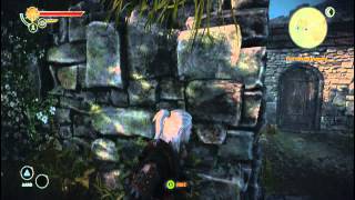 The Witcher 2 AOK  Man of the Shadows Achievement Guide [upl. by Enitsenre933]