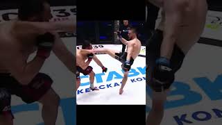 Quick and Scary knockouts in Mixed Martial Arts part 4 shorts sports mma highlights fighters [upl. by Dasya]