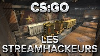 CSGO  Les streamhackeurs [upl. by Zurheide]