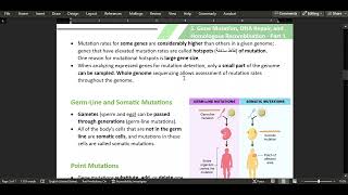 5 Gene Mutation DNA Repair and Homologous Recombination  Part 1 [upl. by Allayne]