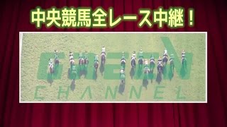 「中央競馬全レース中継中央競馬パドック中継」2017番宣通年版 [upl. by Klute]