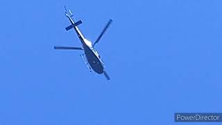 Private Owner Airbus Helicopters AS355 Ecureuil Flyby [upl. by Steiner]