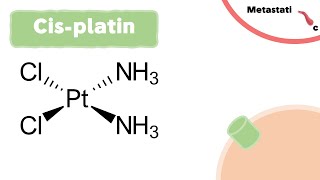 Mechanism of Cisplatin  Chemotherapy [upl. by Sims]