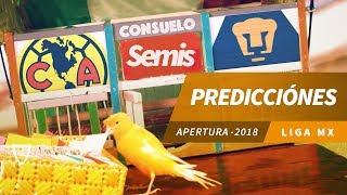 Pronóstico Semifinal Liga MX Apertura 2018  Predicciones Liga MX  Quiniela Futbol 2018 [upl. by Mont50]