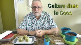 Culture dans le Coco [upl. by Haidedej]