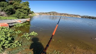 Secret Orange County reservoir bass fishing [upl. by Caassi819]