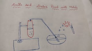 metal carbonates react with acidsncert grade10science ln 2 ggchemistry5716 [upl. by Sekofski654]