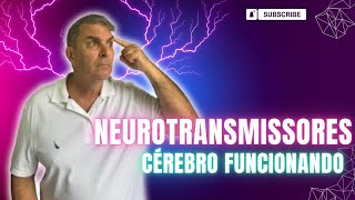 Neurotransmissores Dr Nelson Marques [upl. by Franckot]