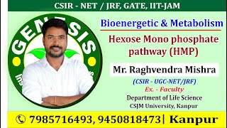 Hexose Mono phosphate pathway HMP CSIRUGCNETJRF LIFE SCIENCEGATEDBTICMR [upl. by Hefter]