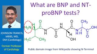 What are BNP and NT proBNP tests [upl. by Nahsed772]