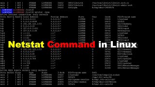 how to use netstat command netstat command explained with example troubleshooting command [upl. by Olaf]