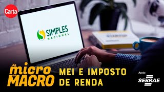 COMO DECLARAR O IMPOSTO DE RENDA DO MEI  Do Micro Ao Macro [upl. by Brandenburg205]