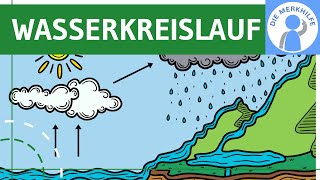 Wasserkreislauf  Begriff Ablauf Prozesse amp Globaler Kreislauf einfach erklärt  Ökologie  Bio [upl. by Torry244]