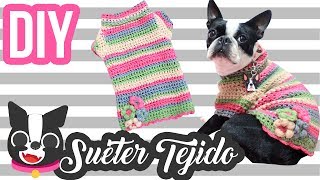 DIY l Suéter Tejido para perro [upl. by Haggar]