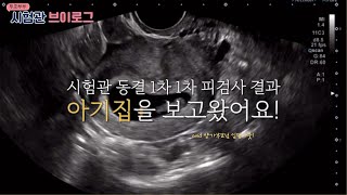 시험관 브이로그 임신 4주차8주차 일상 l 1차 피검사 결과ㅣ아기집 확인ㅣ입덧 시작일까ㅣ양가 부모님 임밍아웃 [upl. by Seluj]