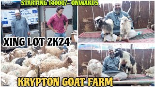 Saste Maine Nayab Quality Xing Kids Aagye At Krypton Goat Farm Mumbai [upl. by Ahseral]